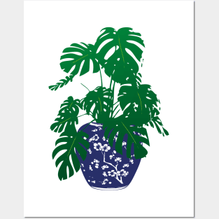 Monstera Plant in Blue and White Plant Pot | Monstera Leaves | House Plants | Pot Plants | Potted Plants | Posters and Art